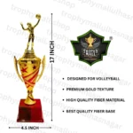 Volleyball Trophy