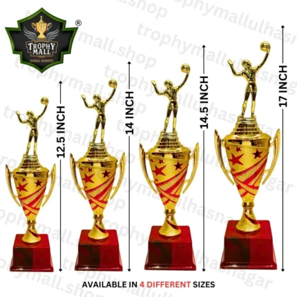 Volleyball Trophy