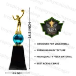 Volleyball Champion Trophy