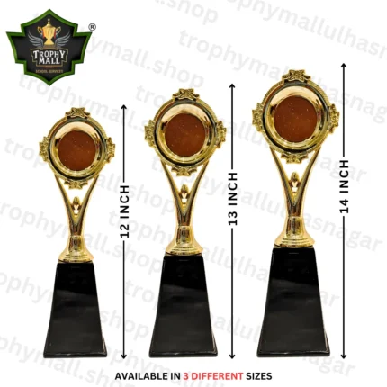 Elegant Trophy In Acrylic RCB Trophy