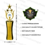 Corporate Star Trophy