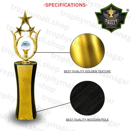 Corporate Star Trophy
