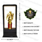 Series Edition in Black Acrylic Frame