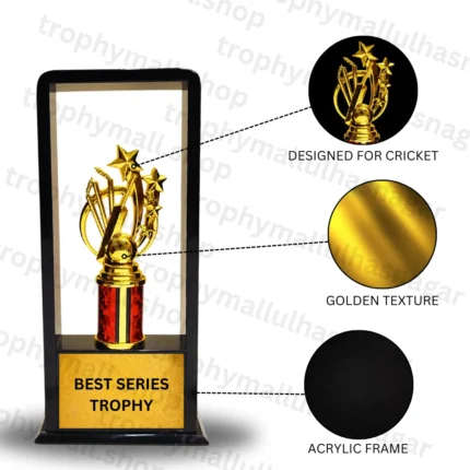 Series Edition in Black Acrylic Frame