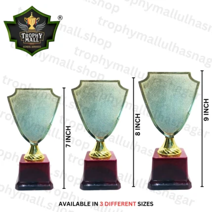Educational Golden Trophy