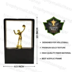 Volleyball in Acrylic trophy