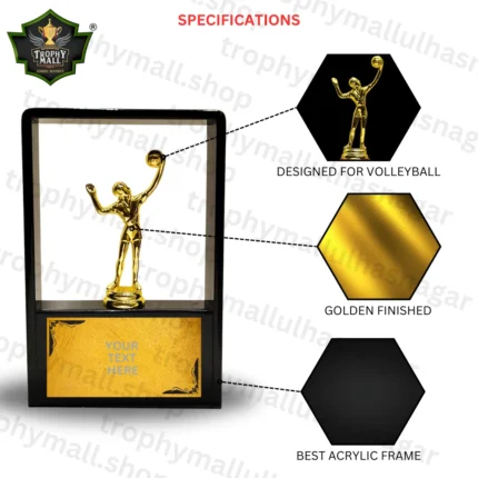 Volleyball in Acrylic trophy