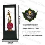 Bowler in Wooden Frame Trophy Wooden Frame Trophy