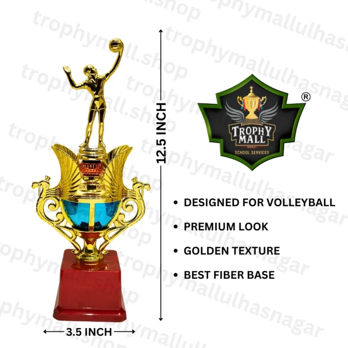 Volleyball MVP Trophy