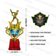 Best Batsman All Time Trophy