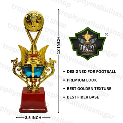 Gold Football Trophy