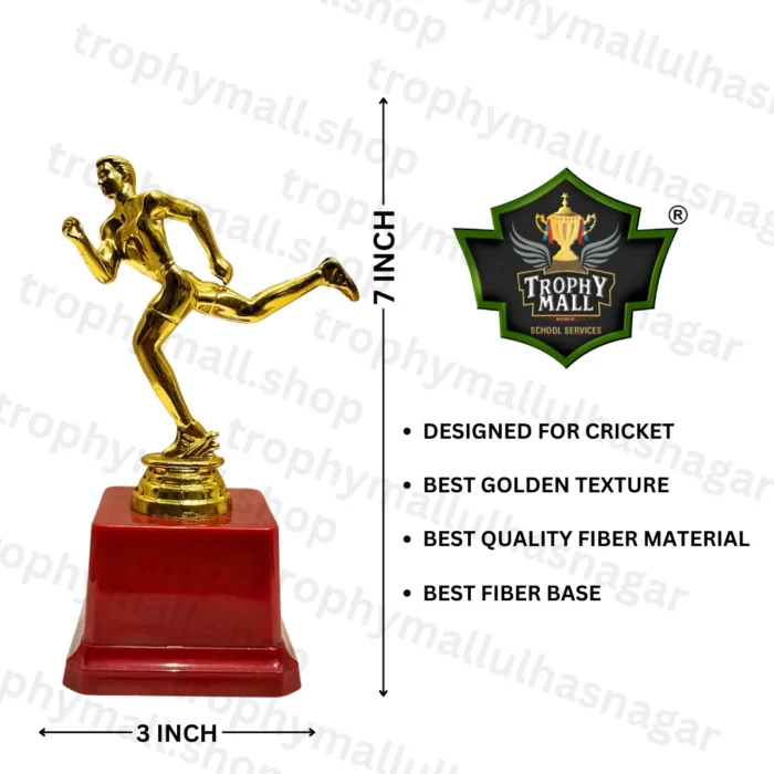 Golden Fielder Cricket Trophy