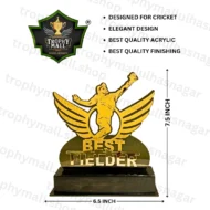 Best Cricket Fielder Acrylic Trophy