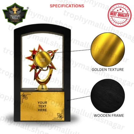 Star Wooden Frame Trophy