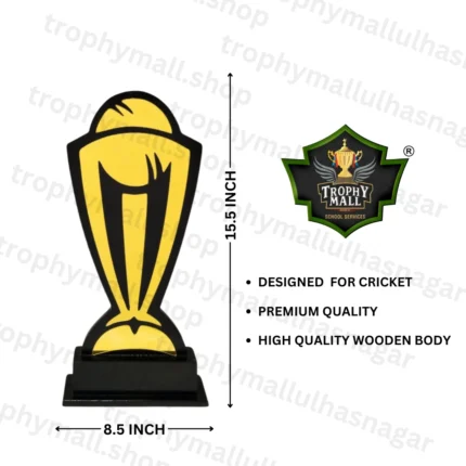 ICC Wooden Memento Trophy