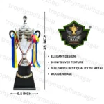 Buy Silver Trophies New Silver Trophy