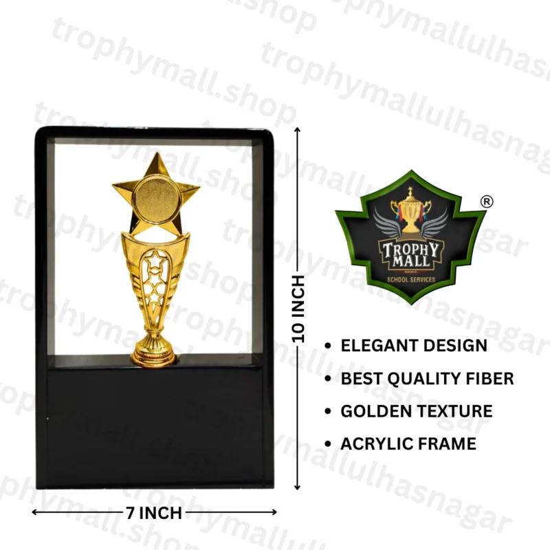 Acrylic Star Trophy