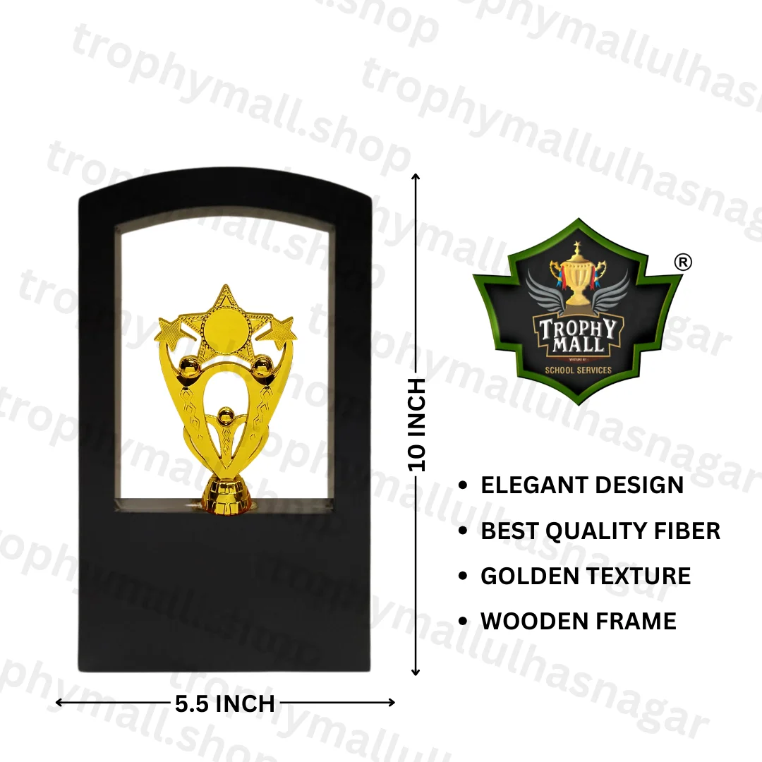 Star Moment Trophy In Wooden Frame