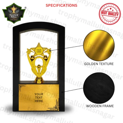 gold star trophy Star Award trophy