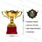 cricket trophies in India