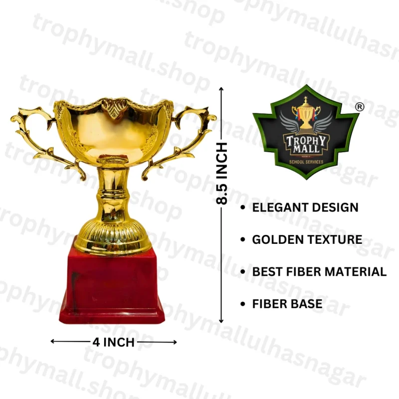 cricket trophies in India