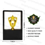 Fiber Star Trophy