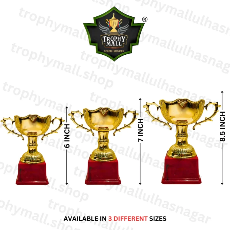 cricket trophies in India