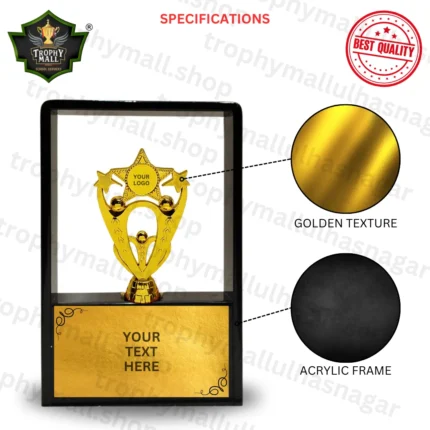 Fiber Star Trophy