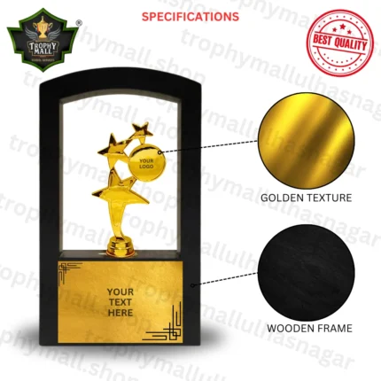 carbon Fiber trophy