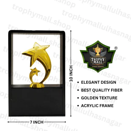 Acrylic Frame Award