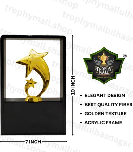 Acrylic Frame Award