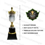 IND vs AUS Champions Trophy ind vs ban 2017 champions trophy Gold Championship Trophy