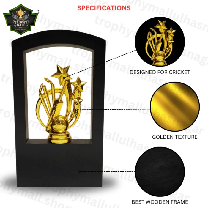 cricket Wooden Trophy