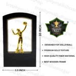 Wooden Volleyball Trophy