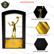 Wooden Volleyball Trophy
