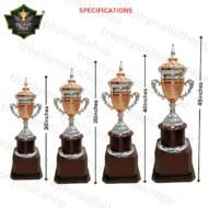 Cricket Champion trophy - Image 3