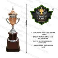 Cricket Champion trophy