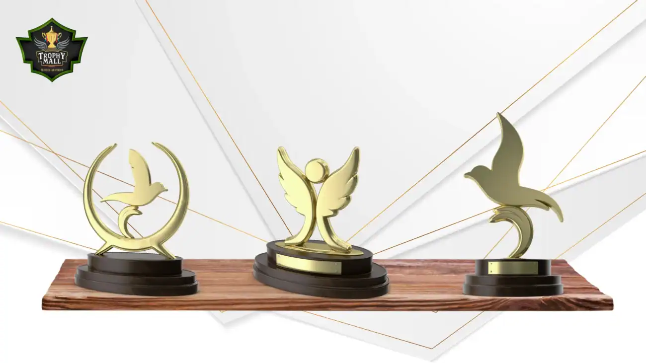 Affordable Cricket Trophies For School