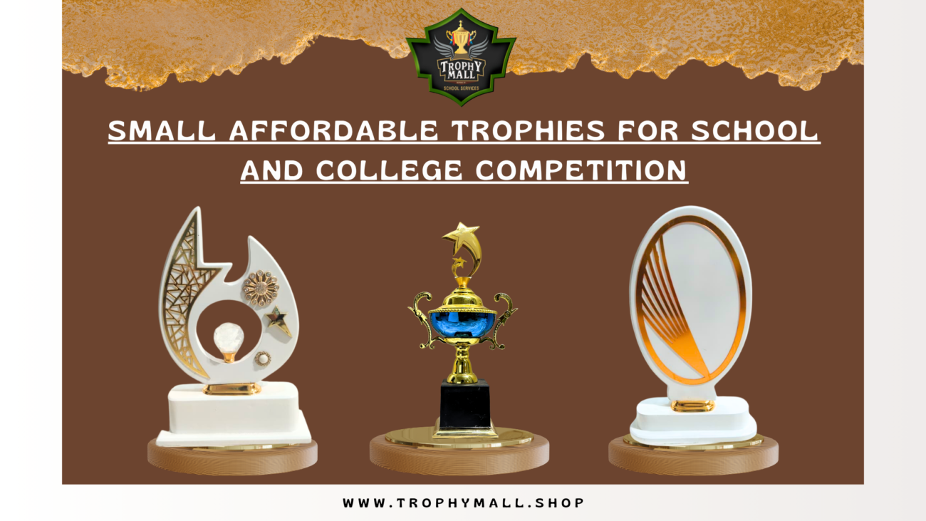 Affordable Cricket Trophies For School