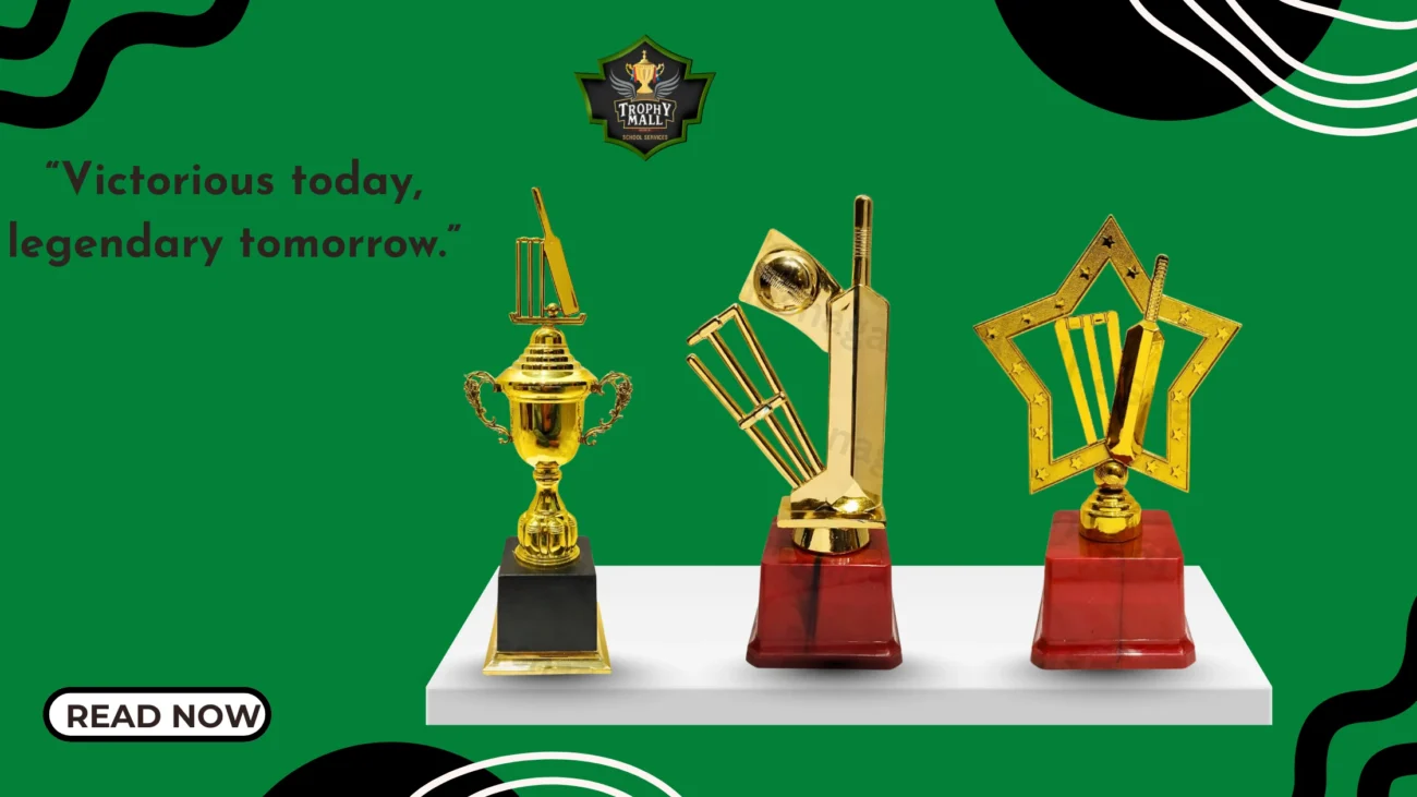 Cricket Trophies For Small Tournament