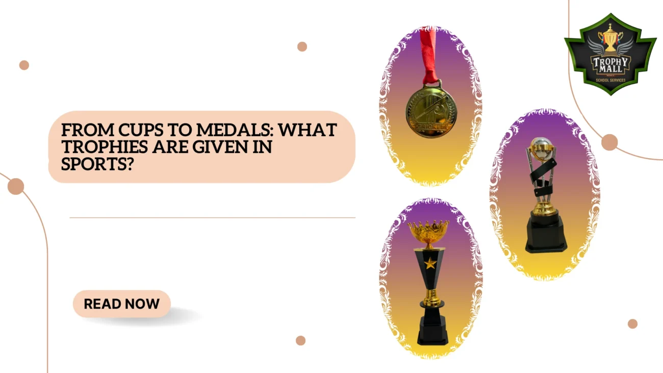 What Types Of Trophies Are Given In Sports? 1 What Types Of Trophies Are Given In Sports?