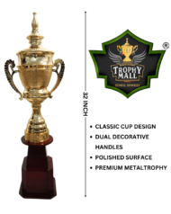 Heritage Classic Cup Trophy