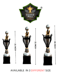 Legends Cricket Trophy - Image 2
