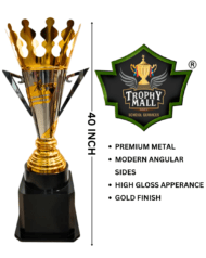 Big Cricket Trophy – Premium Large Cricket Cup for Tournaments & Champions