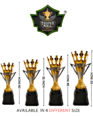 Big Cricket Trophy - Image 3