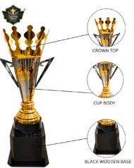 Big Cricket Trophy - Image 2