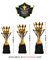 New Cricket Trophy - Image 3