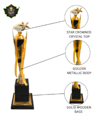 Elite Crystal Corporate Trophy - Image 3