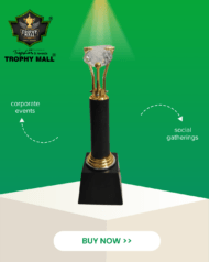 Premium Corporate Trophy for Employee Recognition & Corporate Awards