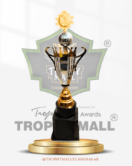 Modern Metallic Trophy - Image 4